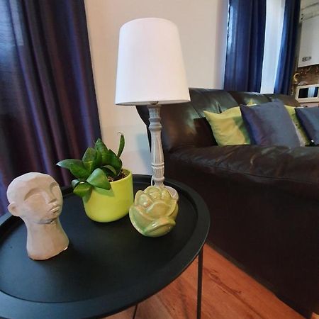 Gloria Apartament Apartment Baia Mare Exterior photo
