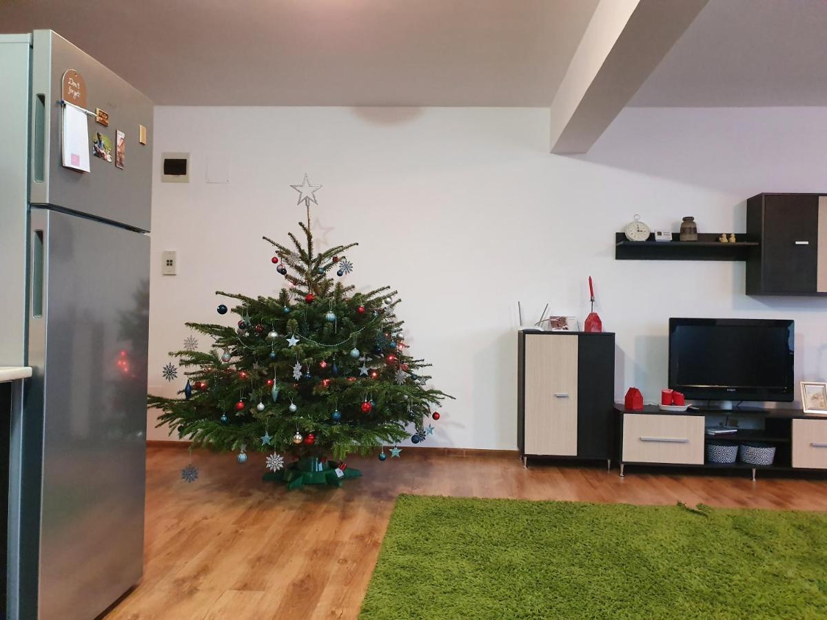 Gloria Apartament Apartment Baia Mare Exterior photo